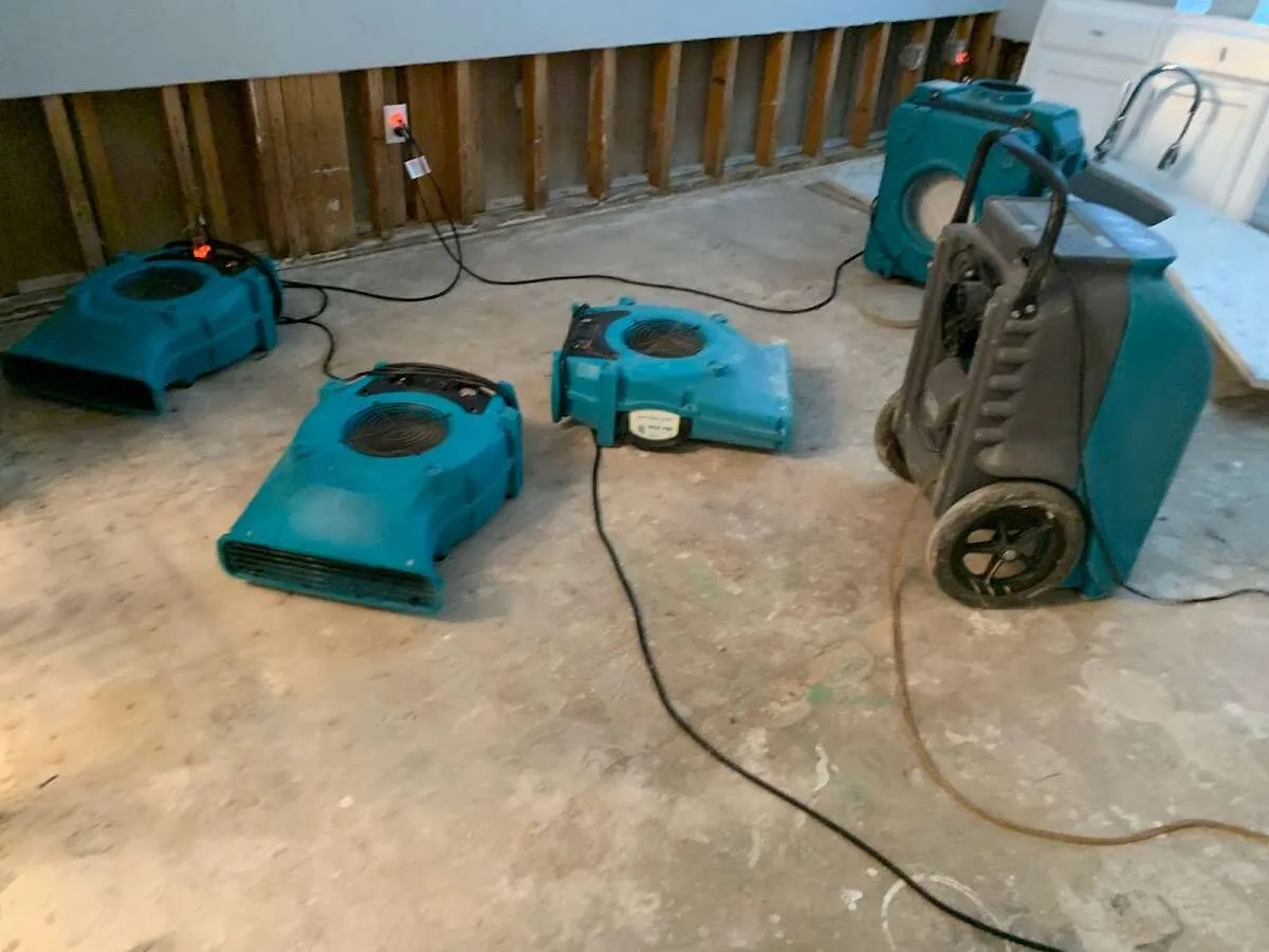 Water Damage Restoration services in Town 'n' Country, FL